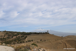 lanchi Cannizzola-01-12-2023 10-20-20